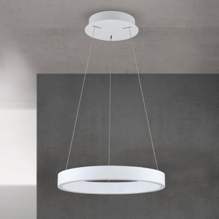 LED hämardatav kaabliga ripplühter KOLK LED/40W/230V 2700/3000/4000K läbimõõt 40 cm valge