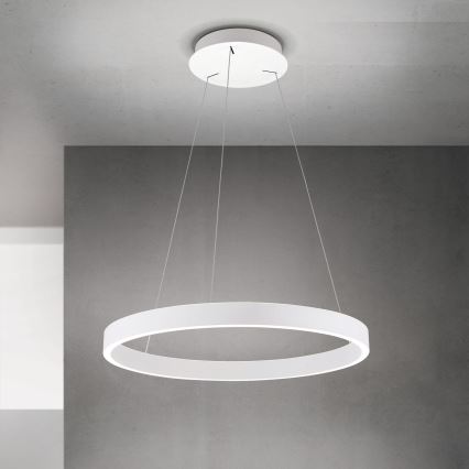 LED-hämardatav juhtmega rippvalgusti KOLK LED/60W/230V 2700/3000/4000K läbimõõduga 60 cm valge