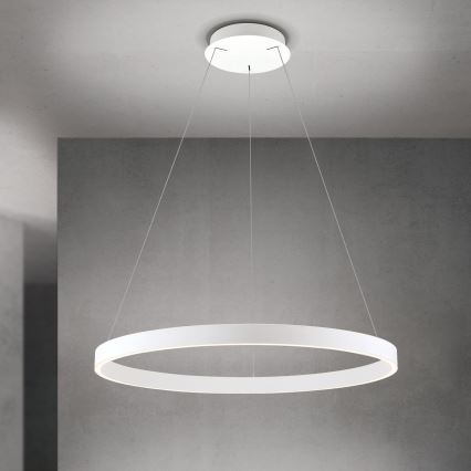 LED-hämardatav rippvalgusti kaabliga KOLK LED/80W/230V 2700/3000/4000K läbimõõt 80 cm valge