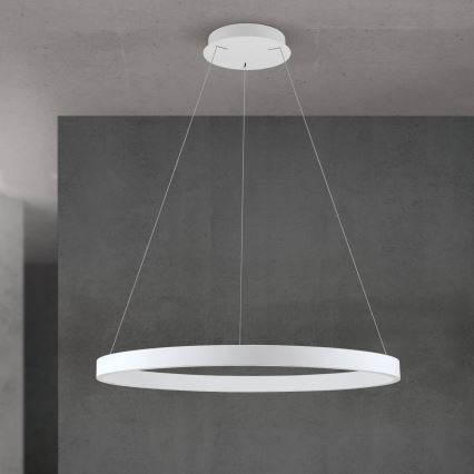 LED-hämardatav rippvalgusti kaabliga KOLK LED/80W/230V 2700/3000/4000K läbimõõt 80 cm valge