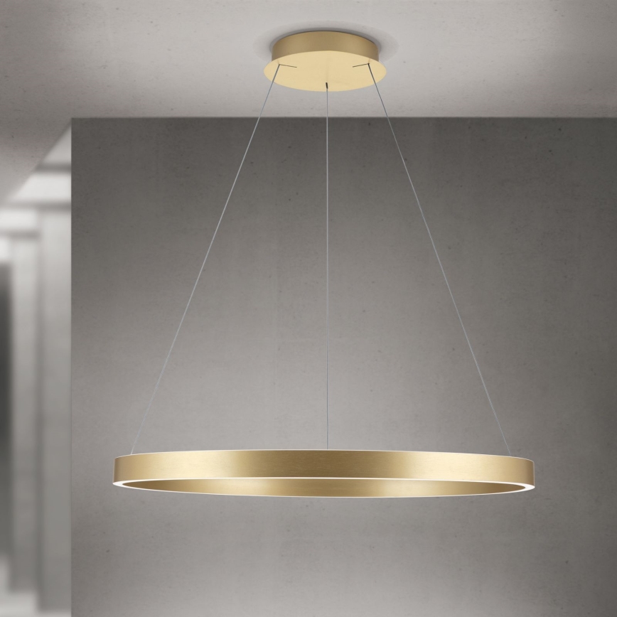 LED-hämardatav rippvalgusti kaablil KOLK, LED/80W/230V, 2700/3000/4000K, läbimõõt 80 cm, kuldne