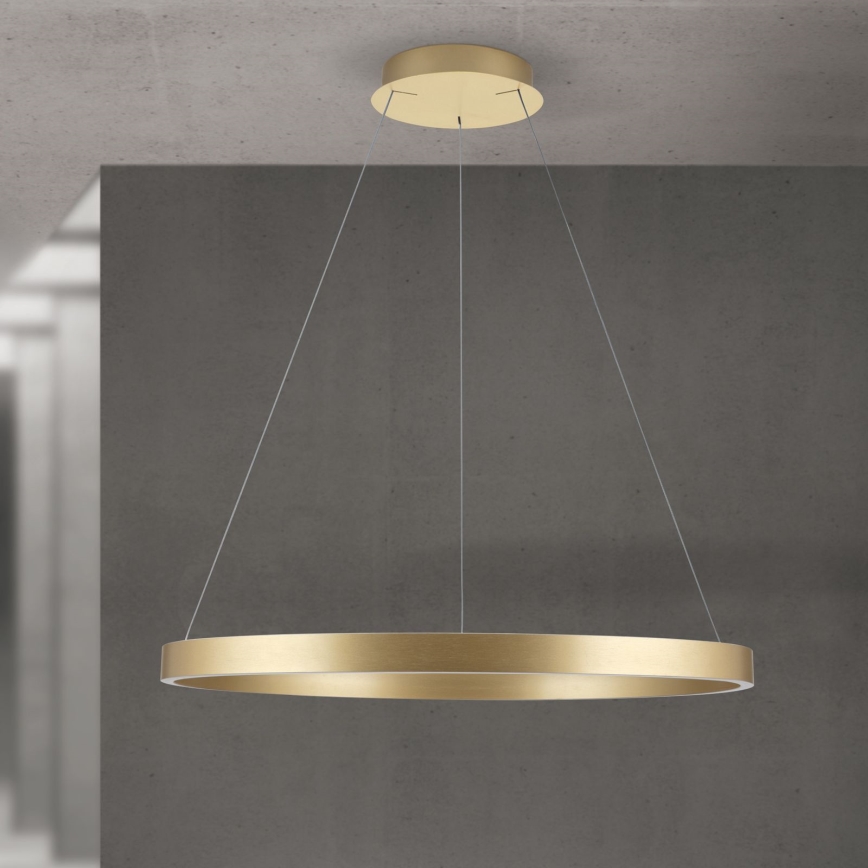 LED-hämardatav rippvalgusti kaablil KOLK, LED/80W/230V, 2700/3000/4000K, läbimõõt 80 cm, kuldne