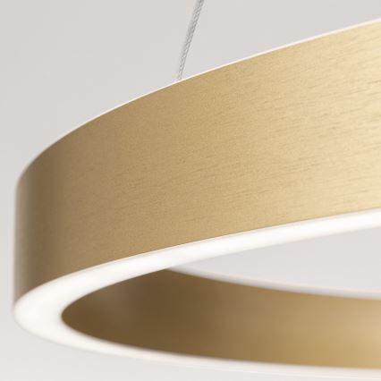 LED-hämardatav rippvalgusti kaablil KOLK, LED/80W/230V, 2700/3000/4000K, läbimõõt 80 cm, kuldne