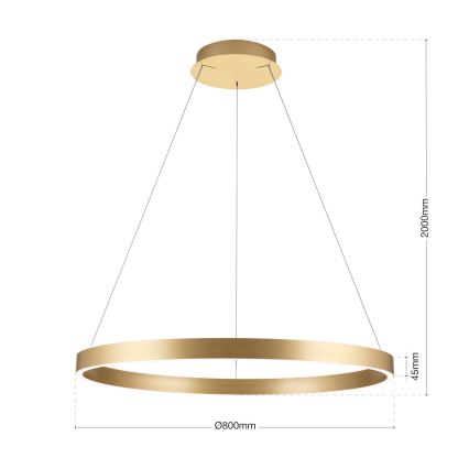 LED-hämardatav rippvalgusti kaablil KOLK, LED/80W/230V, 2700/3000/4000K, läbimõõt 80 cm, kuldne