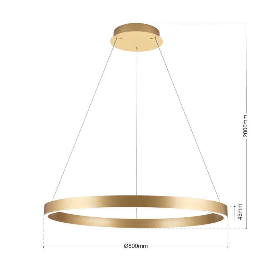 LED-hämardatav rippvalgusti kaablil KOLK, LED/80W/230V, 2700/3000/4000K, läbimõõt 80 cm, kuldne