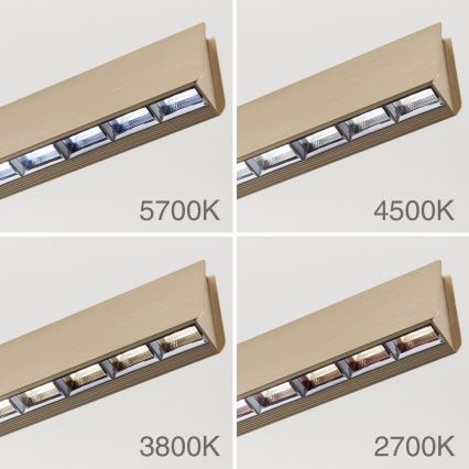 LED Hämardatav lühter TARA LED/44W/230V 2700/3800/4500/5700K kuldne