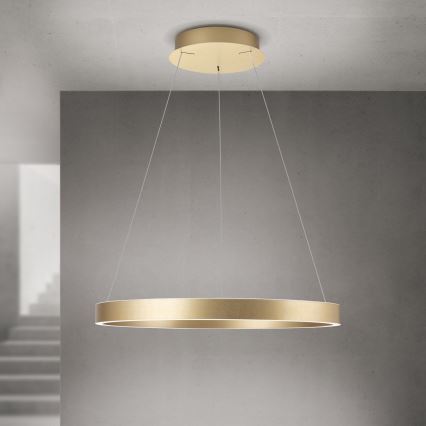 KOLK LED hämardatav rippvalgusti LED/60W/230V 2700/3000/4000K läbimõõt 60 cm kuldne