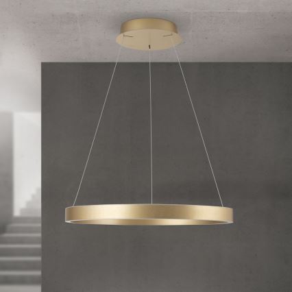 KOLK LED hämardatav rippvalgusti LED/60W/230V 2700/3000/4000K läbimõõt 60 cm kuldne