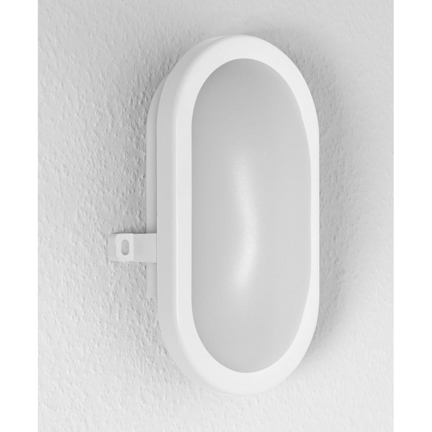 Osram - BULKHEAD LED välisseinale mõeldud seinavalgusti, 11 W, 230 V, IP54, valge
