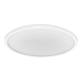 Osram - hämardatav LED lakkevalgusti ORBIS LED/22W/230V valge