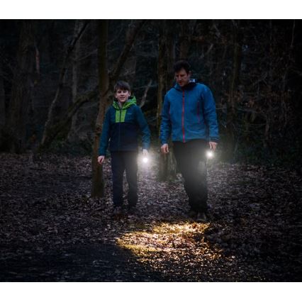 Osram - LED Hämardatav taskulamp LEDINSPECT TORCH 350 ESSENTIAL LED/4W/2xAAA IP44