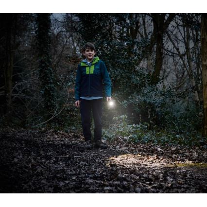 Osram - LED Hämardatav taskulamp LEDINSPECT TORCH 350 ESSENTIAL LED/4W/2xAAA IP44