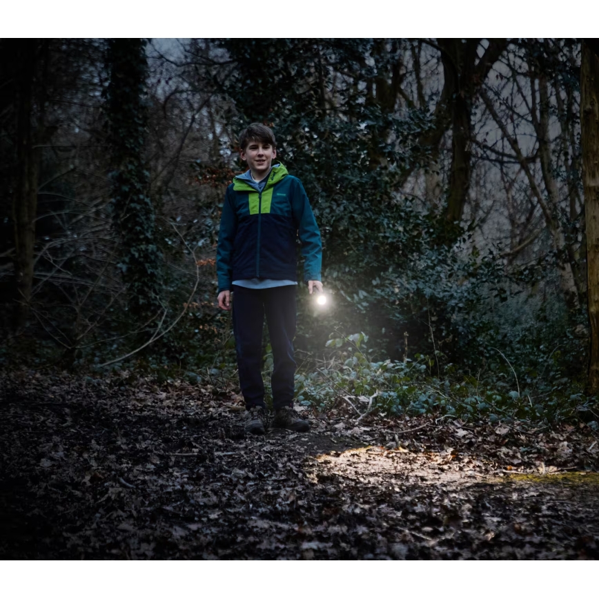 Osram - LED Hämardatav taskulamp LEDINSPECT TORCH 350 ESSENTIAL LED/4W/2xAAA IP44