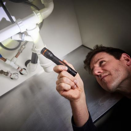 Osram - LED Hämardatav taskulamp LEDINSPECT TORCH 350 ESSENTIAL LED/4W/2xAAA IP44