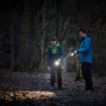 Osram - hämardatav LED-taskulamp LEDINSPECT TORCH 450 ESSENTIAL LED/6W/3xAAA IP44