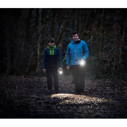 Osram - hämardatav LED-taskulamp LEDINSPECT TORCH 450 ESSENTIAL LED/6W/3xAAA IP44