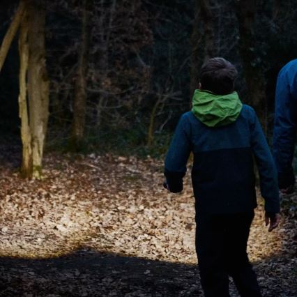 Osram - hämardatav LED-taskulamp LEDINSPECT TORCH 450 ESSENTIAL LED/6W/3xAAA IP44