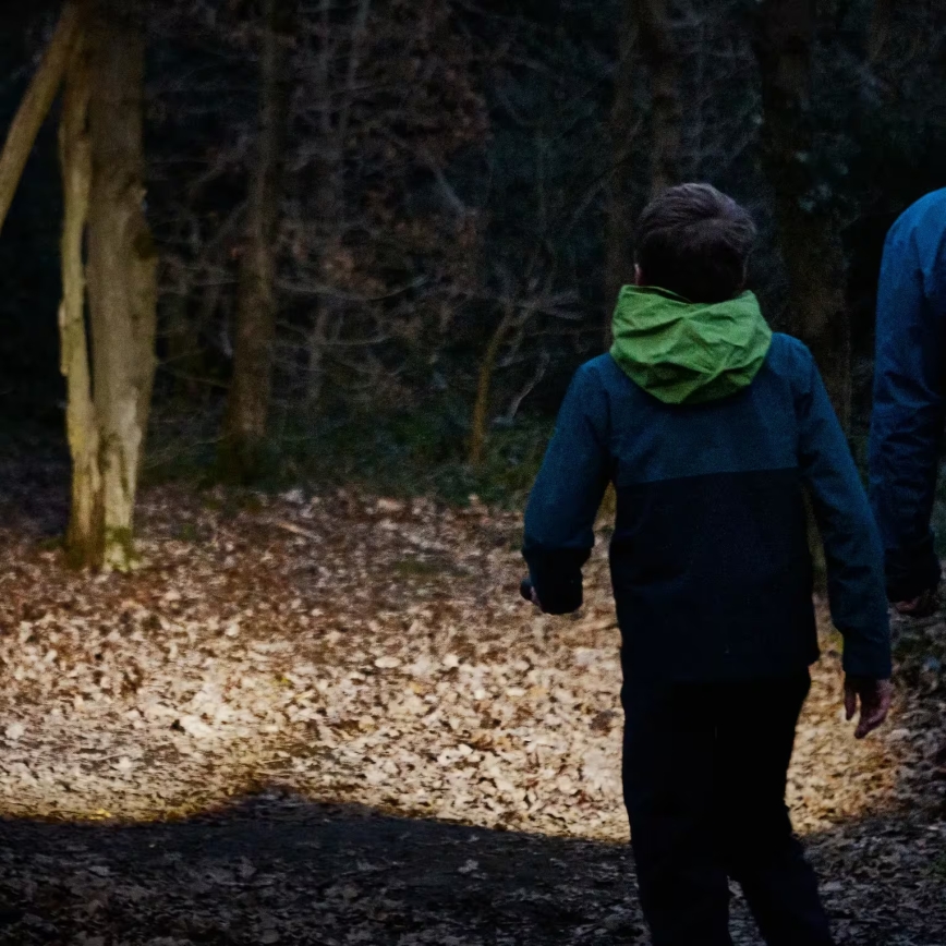 Osram - hämardatav LED-taskulamp LEDINSPECT TORCH 450 ESSENTIAL LED/6W/3xAAA IP44