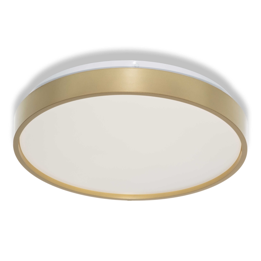 Osram - LED laelamp CEILING LUXO LED/18W/230V, läbimõõt 32 cm, kuldne