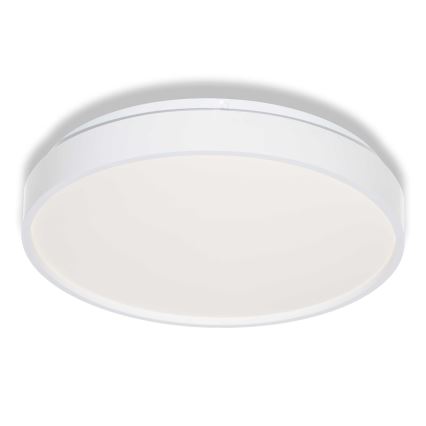 Osram - LED laelamp CEILING LUXO LED/18W/230V läbimõõt 32 cm valge