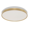Osram - LED laelamp CEILING LUXO LED/36W/230V läbimõõt 49 cm kuldne