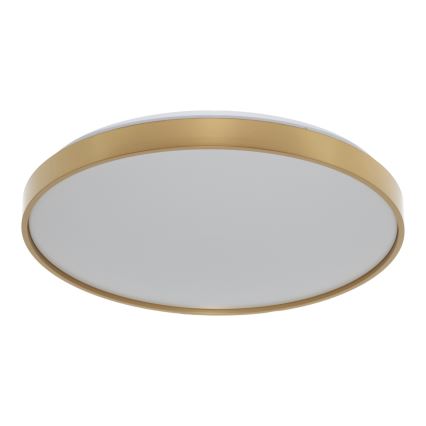 Osram - LED laelamp CEILING LUXO LED/36W/230V läbimõõt 49 cm kuldne