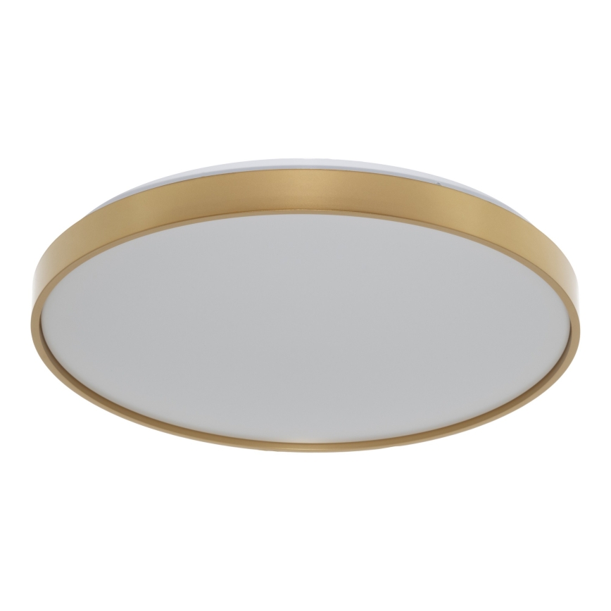 Osram - LED laelamp CEILING LUXO LED/36W/230V läbimõõt 49 cm kuldne