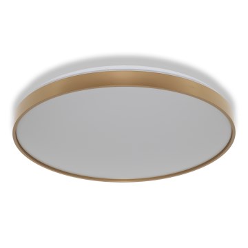 Osram - LED laelamp CEILING LUXO LED/60W/230V läbimõõt 56 cm kuldne