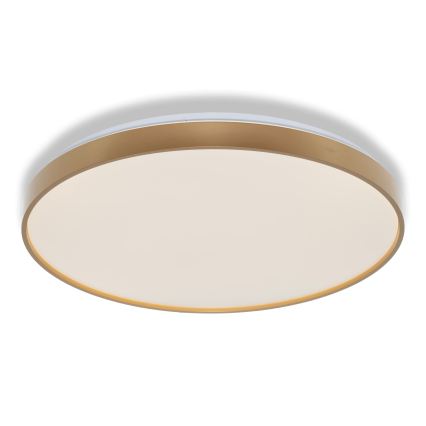 Osram - LED laelamp CEILING LUXO LED/60W/230V läbimõõt 56 cm kuldne