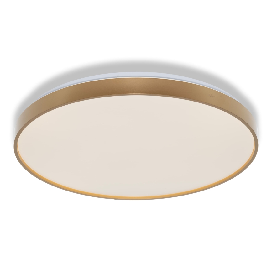 Osram - LED laelamp CEILING LUXO LED/60W/230V läbimõõt 56 cm kuldne