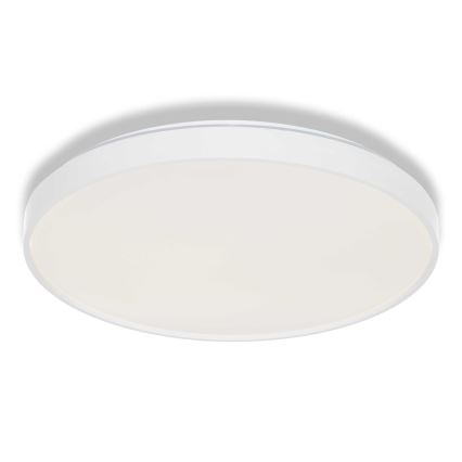 Osram - LED laevalgusti CEILING LUXO LED/36W/230V Ø 49 cm valge