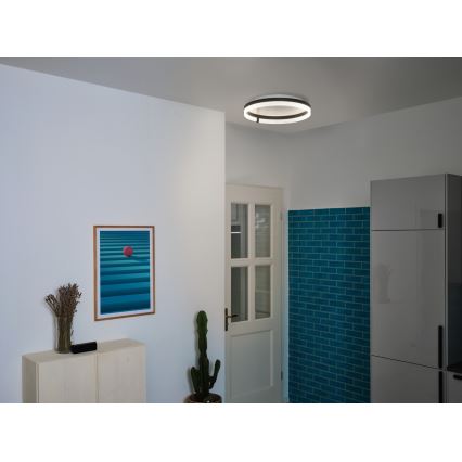Osram - LED laelamp DECOR CIRCLE LED/32W/230V 3000/4000/6500K läbimõõt 50 cm must/valge