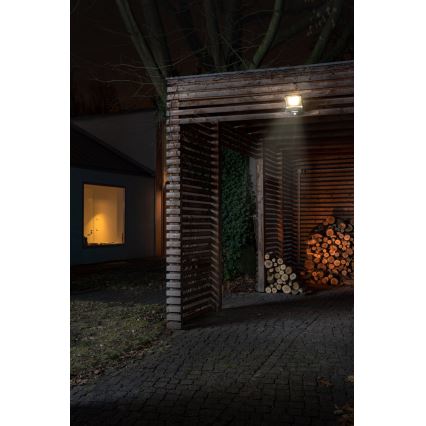 Osram - LED-prožektor liikumisanduriga ENDURA LED/50W/230V 4000K IP44