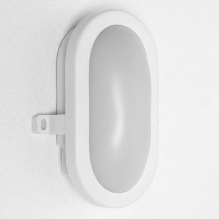 Osram - LED välisseina valgusti BULKHEAD LED/6W/230V IP54 valge