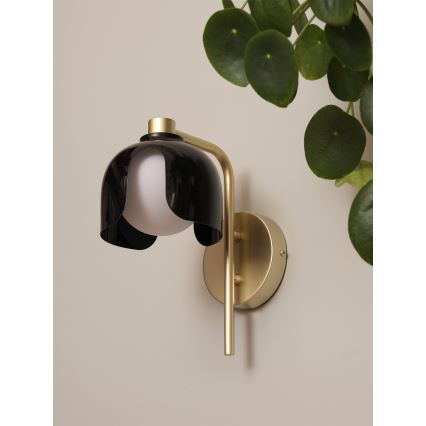 Osram - Seinalamp DECOR COROLLE 1xG9/20W/230V must/kuldne