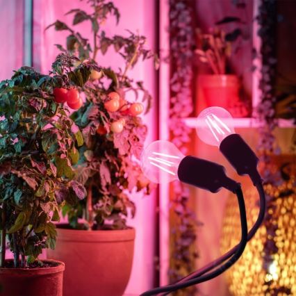 Paindlik laualamp klambriga taimede kasvatamiseks PLANTY 2xE27/30W/230V must