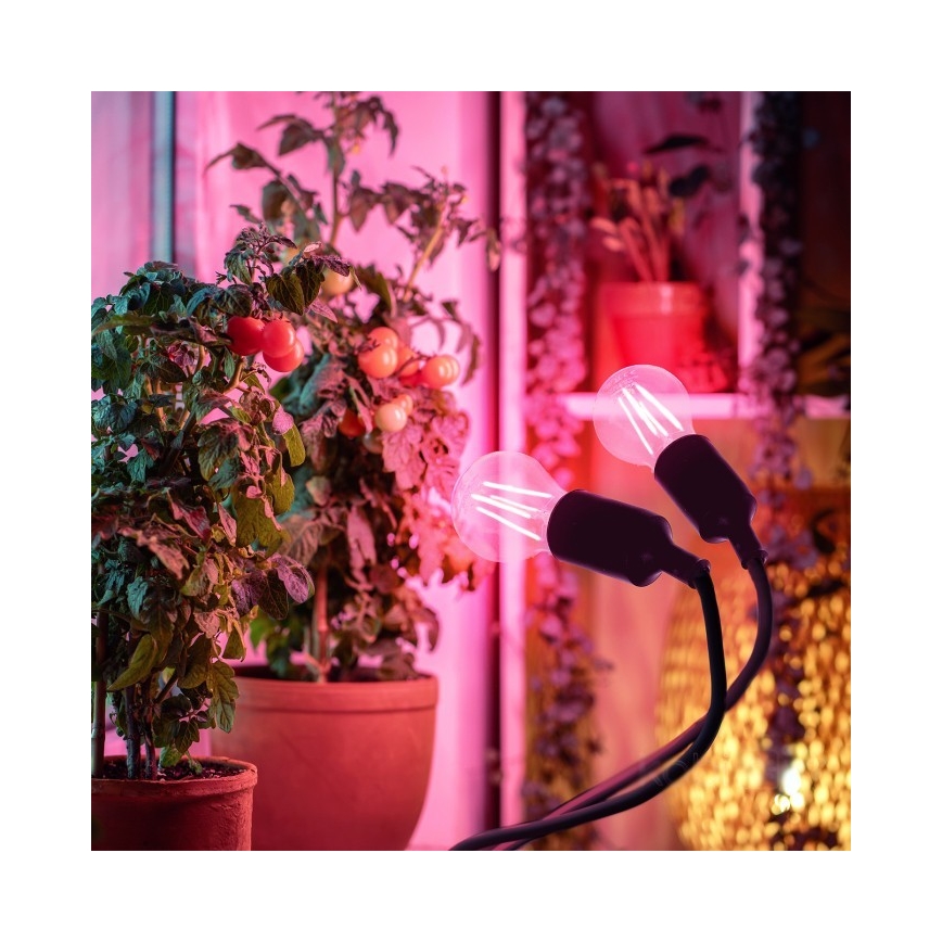 Paindlik laualamp klambriga taimede kasvatamiseks PLANTY 2xE27/30W/230V must