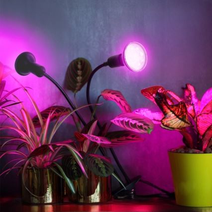 Paindlik laualamp klambriga taimede kasvatamiseks PLANTY 2xE27/30W/230V must