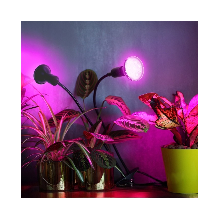 Paindlik laualamp klambriga taimede kasvatamiseks PLANTY 2xE27/30W/230V must