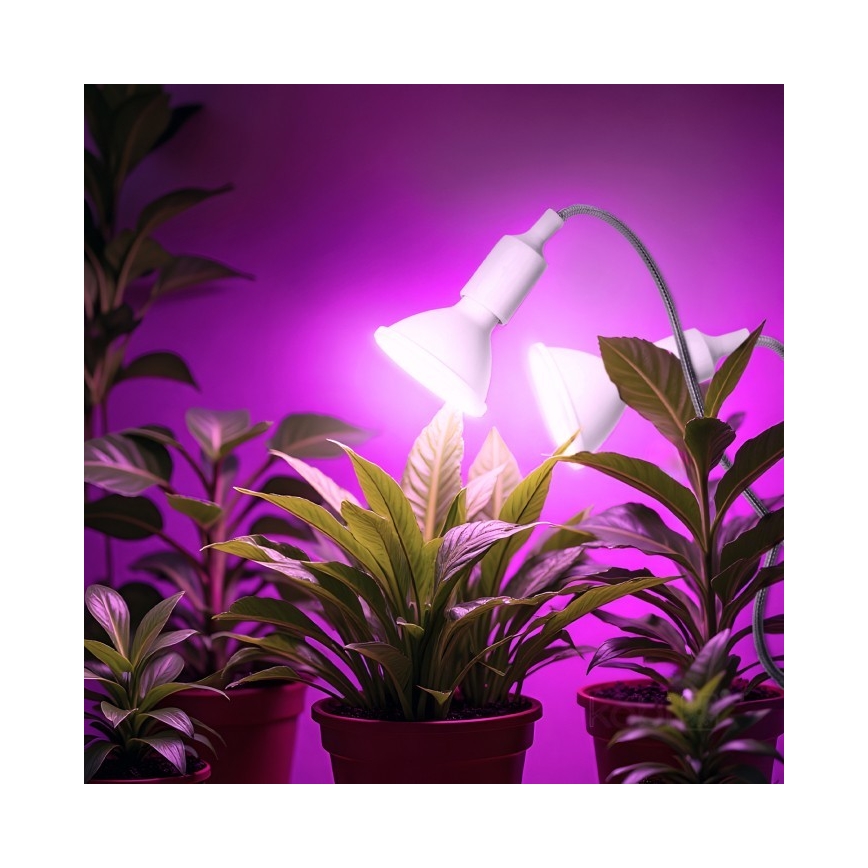Paindlik laualamp klambriga taimede kasvatamiseks PLANTY 2xE27/30W/230V valge