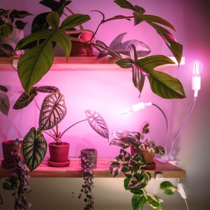 Paindlik laualamp klambriga taimede kasvatamiseks PLANTY 2xE27/30W/230V valge