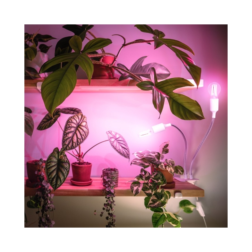 Paindlik laualamp klambriga taimede kasvatamiseks PLANTY 2xE27/30W/230V valge
