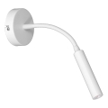 Paindlik väike lamp ARDEN 1xG9/8W/230V valge