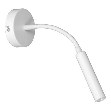 Paindlik väike lamp ARDEN 1xG9/8W/230V valge