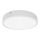 Palnas 61003559 - LED Vannitoa laevalgusti EGON LED/16W/230V IP44 4000K