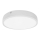 Palnas 61003580 - LED Vannitoa laevalgusti EGON LED/30W/230V IP44 3000K