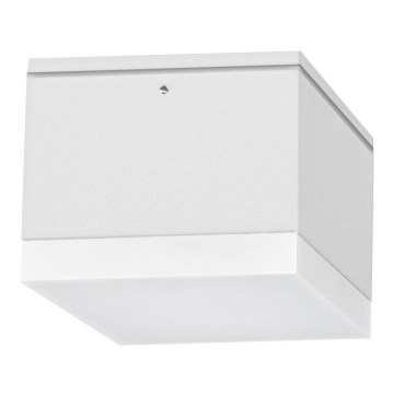 Palnas 66001470 - LED Väli laevalgusti BRUNO LED/10W/230V IP54