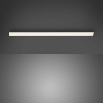 Paul Neuhaus 1125-21-A - LED Kapialuse valgusti pikendus kööki AMON LED/6W/12/230V