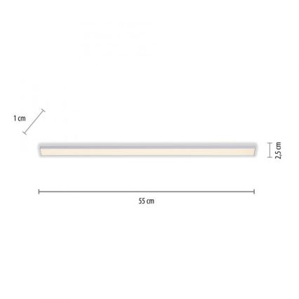 Paul Neuhaus 1125-21-A - LED Kapialuse valgusti pikendus kööki AMON LED/6W/12/230V