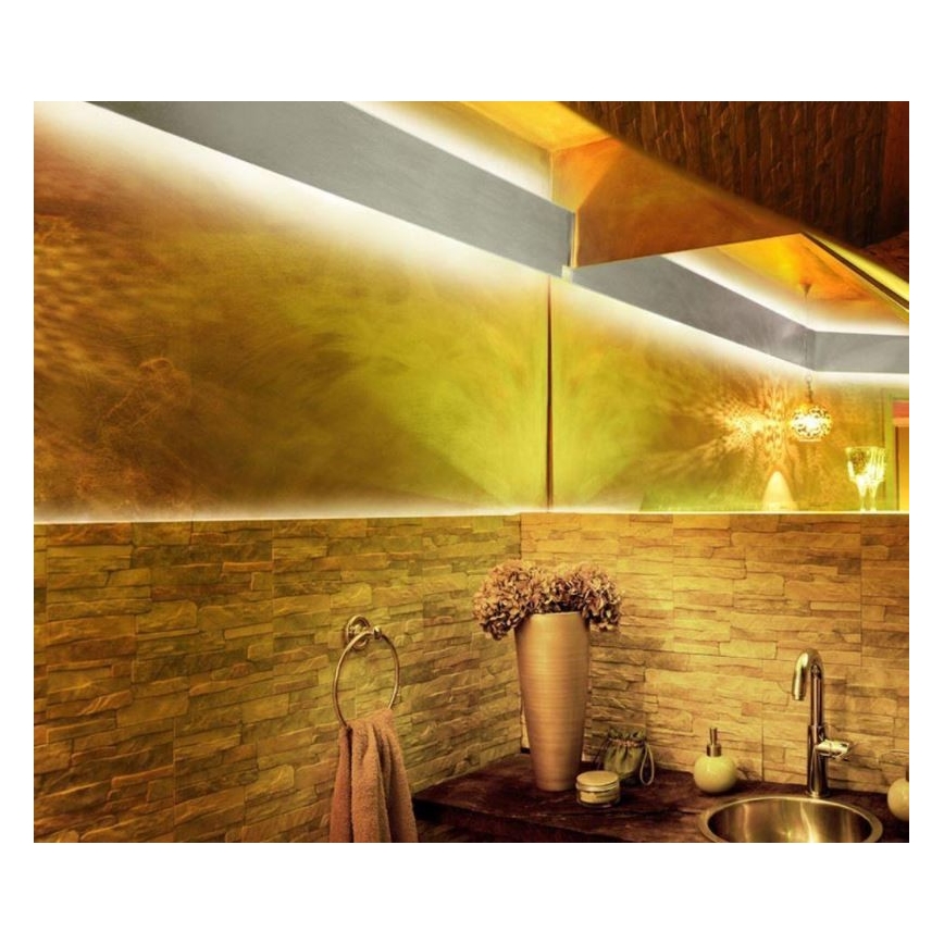 Paul Neuhaus 1205-70 - LED RGB Hämardatav riba TEANIA 10m LED/30W/12/230V + Pult